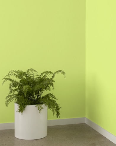 Painted wall with Candy Green 403
