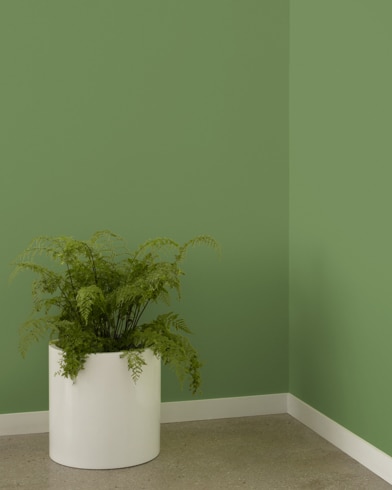 Painted wall with Courtyard Green 546