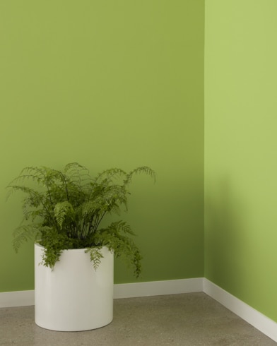 Painted wall with Huntington Green 406