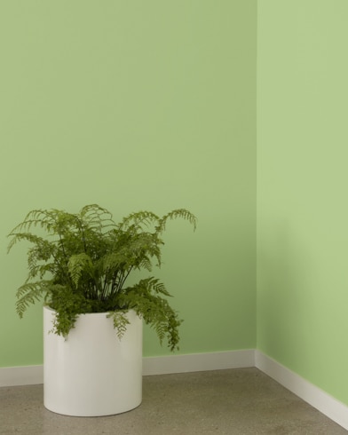Painted wall with Woodland Hills Green 543