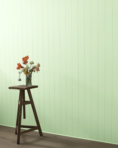 Painted wall with Mint Julep 547