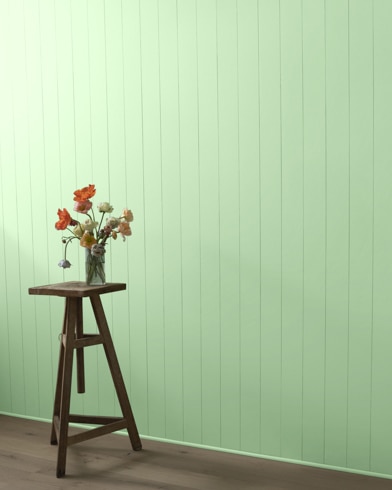 Painted wall with Pastel Green 548
