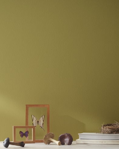 Painted wall with Newt Green 2149-10