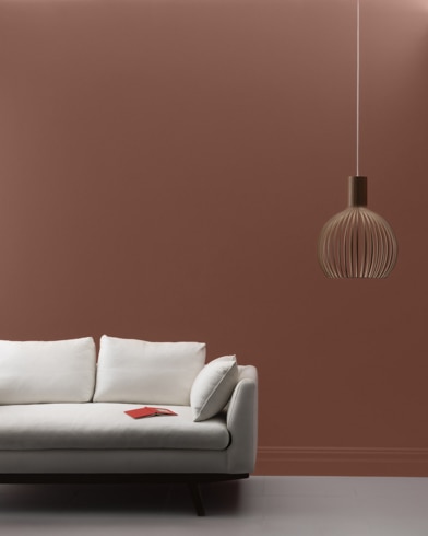 Painted wall with Cocoa Brown 2101-20