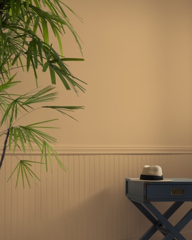 A Ginger Root-painted wall behind a small table and a tall house plant.