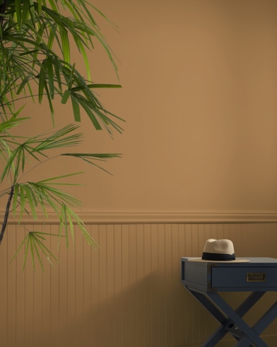 A Graham Cracker-painted wall behind a small table and a tall house plant.