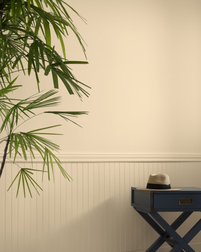 A Hilton Head Cream-painted wall behind a small table and a tall house plant.