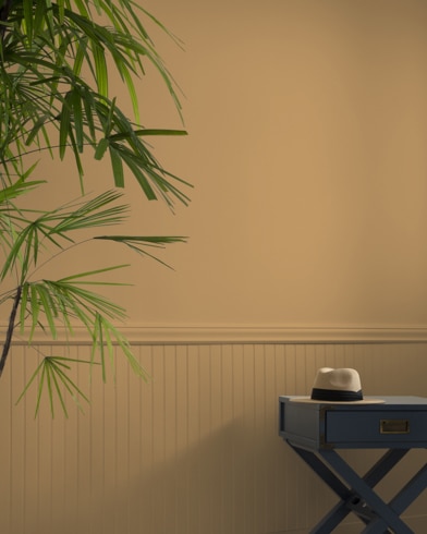 A Sandy Valley-painted wall behind a small table and a tall house plant.
