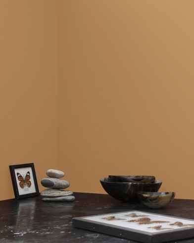 Painted wall with Gladstone Tan 1106