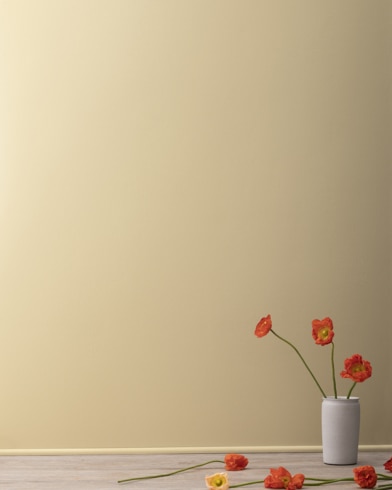 Painted walls with Candle Glow CSP-1015