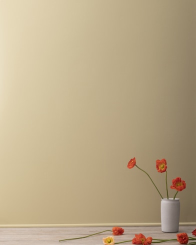 Painted walls with Yorkshire Tan HC-23
