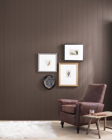 Painted wall with Branchport Brown HC-72
