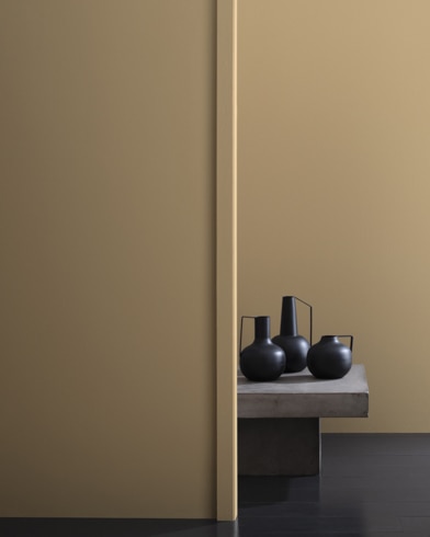 Painted walls with Spice Gold 1040
