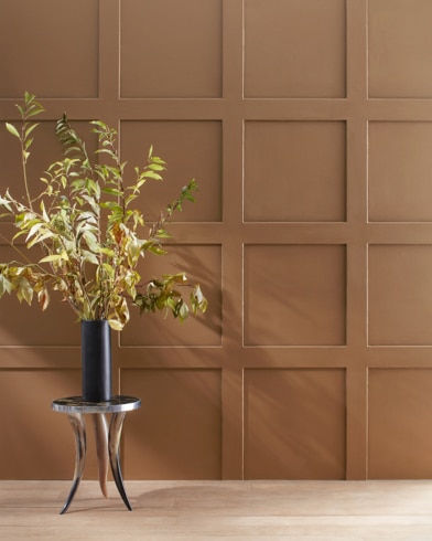 Painted wall with Rich Clay Brown 2164-30