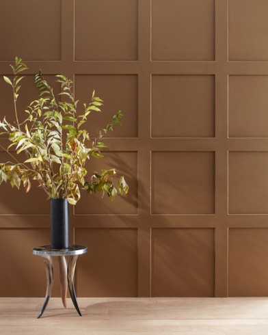 Painted wall with Saddle Brown 2164-10