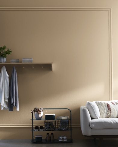 Painted walls with Brush Beige   CW-125
