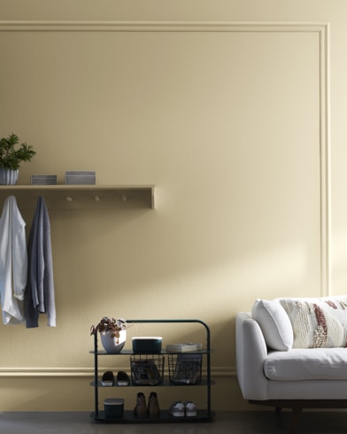 Painted wall with Crisp Khaki  234
