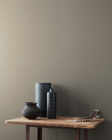 Painted wall with Smoked Truffle CSP-145