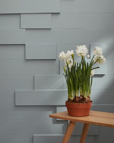 Painted wall with Gray Cardigan 1600