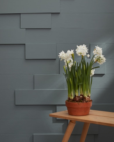 Painted wall with Gunmetal 1602