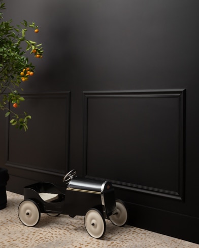Painted wall with Black 2132-10