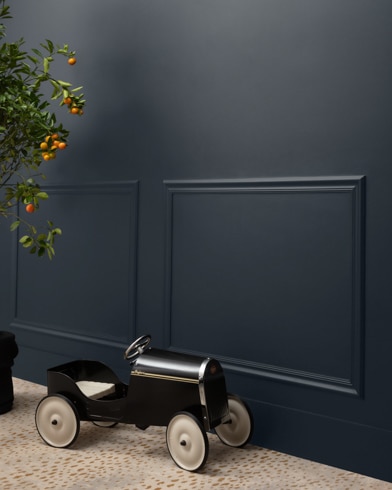 Painted wall with Black Horizon 2133-70