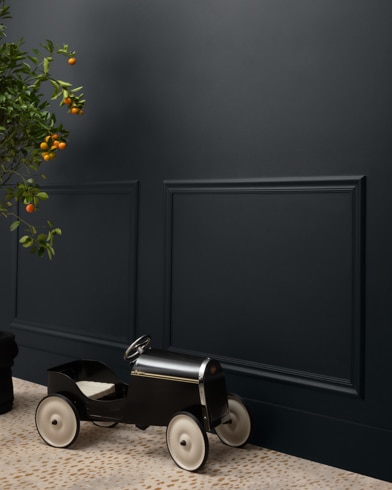 Painted wall with Ebony King 2121-30