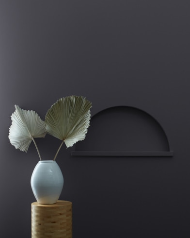 Painted wall with Toucan Black 2118-20