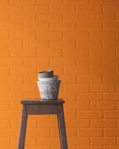 A 14 Carrots-painted brick wall behind a wooden stool with planting pots on top.