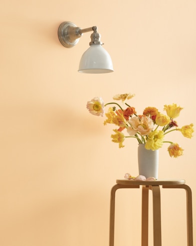 Painted wall with Delicate Peach 120