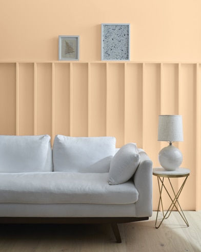 Painted wall with Peach Complexion 115