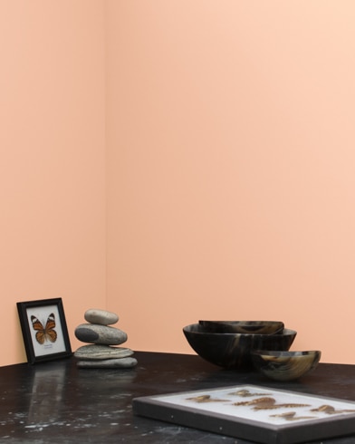 Painted wall with Fresh Peach 60