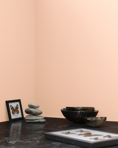 Painted wall with Orange Creamsicle 59