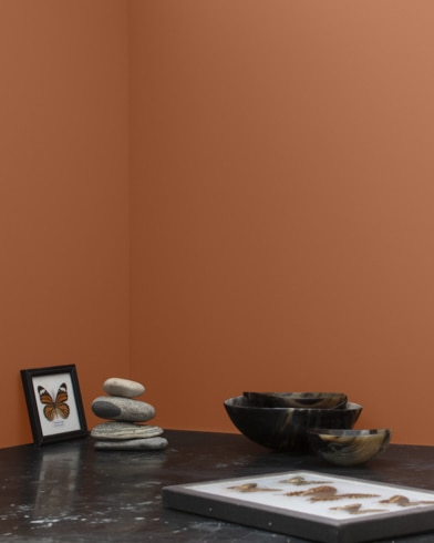 Painted wall with Terra Mauve 105