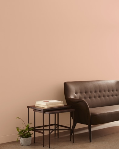 Painted wall with Cinnamon 'n Spice 1215
