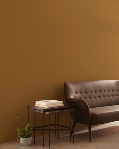 Painted wall with Mexican Hot Chocolate CSP-1080