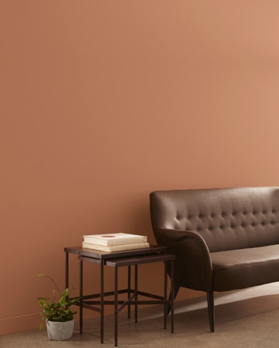 Painted wall with Suntan Bronze 1217