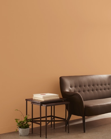 Painted wall with Warm Sunglow CSP-1070