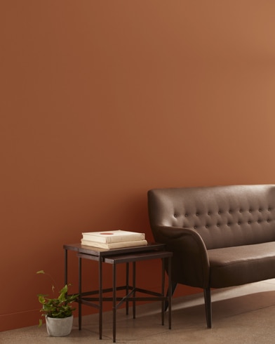 Painted wall with Warmed Cognac AF-235