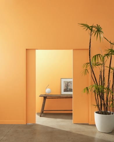 A ceramic potter with a palm tree stands at the entryway of multiple rooms painted Brilliant Amber.
