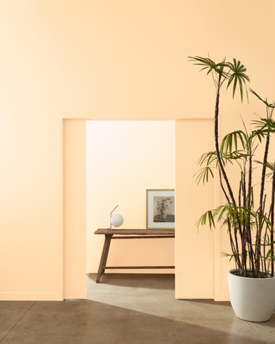A ceramic potter with a palm tree stands at the entryway of multiple rooms painted Cantaloupe.