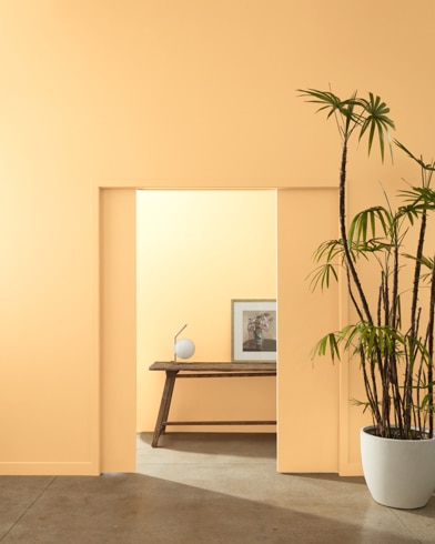 A ceramic potter with a palm tree stands at the entryway of multiple rooms painted Peach Crisp.