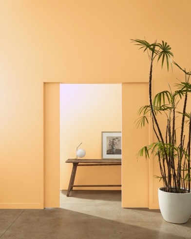 A ceramic potter with a palm tree stands at the entryway of multiple rooms painted Soft Marigold.