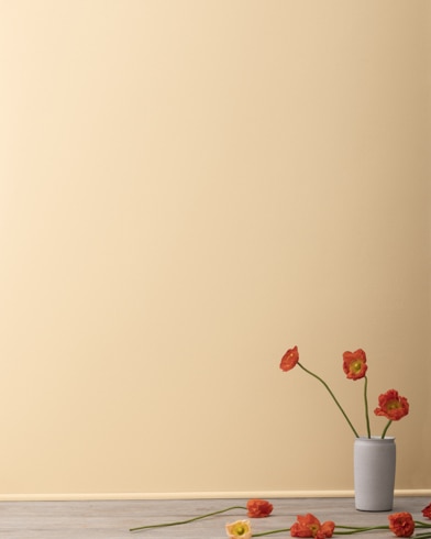 Painted wall with Natural Sand 2165-50