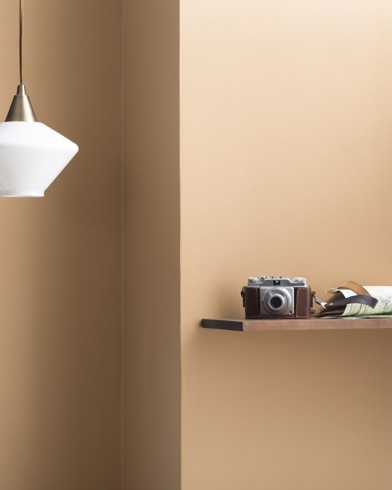 Painted wall with Natural Leather CSP-1065