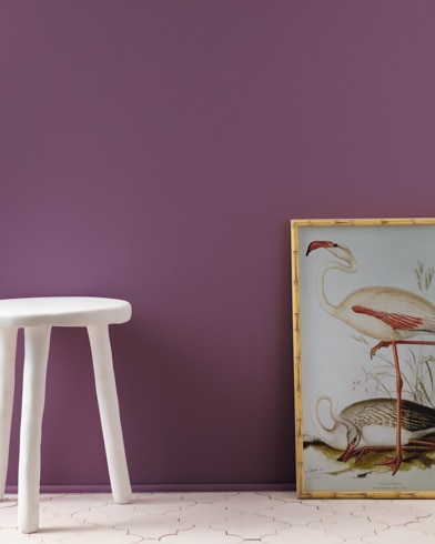 Paint Gallery - Benjamin Moore Misty Lilac - Paint colors and