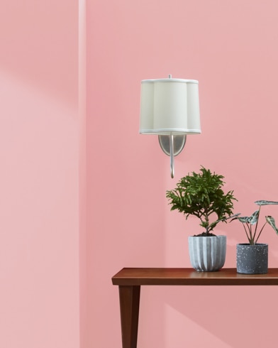 Wooden console table with houseplants in front of a Fashion Pink-painted wall with a white wall lamp.