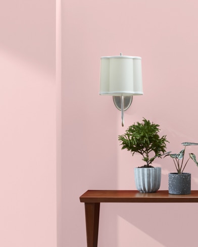 Wooden console table with houseplants in front of a Pink Sea Shell-painted wall with a white wall lamp.