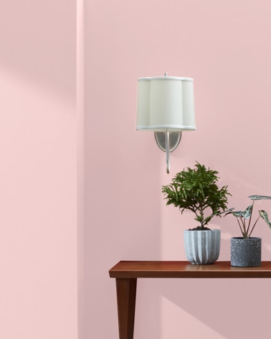 Consola de madera con plantas de interior frente a una pared pintada de color Concha Marina Rosada con una lámpara de pared blanca.