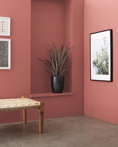 A wooden bench in front of a Badlands-painted wall with art and an inset shelf featuring a houseplant.